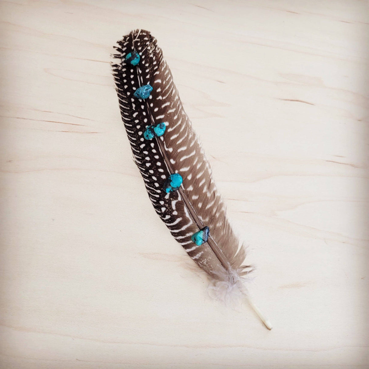 Spotted Turkey Feather Hat Accent w/ Turquoise Stones 954v