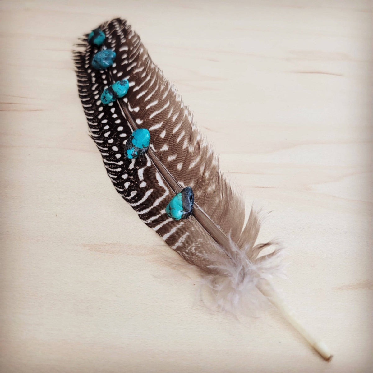Spotted Turkey Feather Hat Accent w/ Turquoise Stones 954v